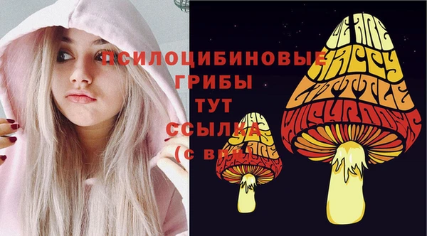бошки Саяногорск