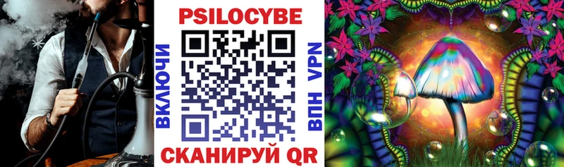 где купить   Костомукша  это наркотические препараты  Галлюциногенные грибы мицелий 